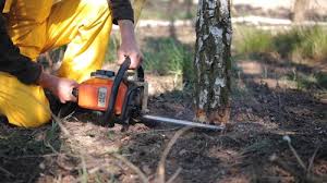 Best Weed Control  in Follansbee, WV