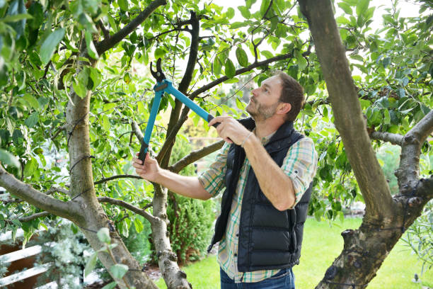 Best Lawn Watering Services  in Follansbee, WV